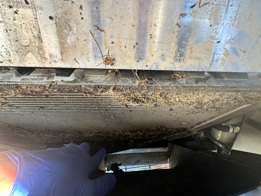 Model 3/Y Radiator Cleaning