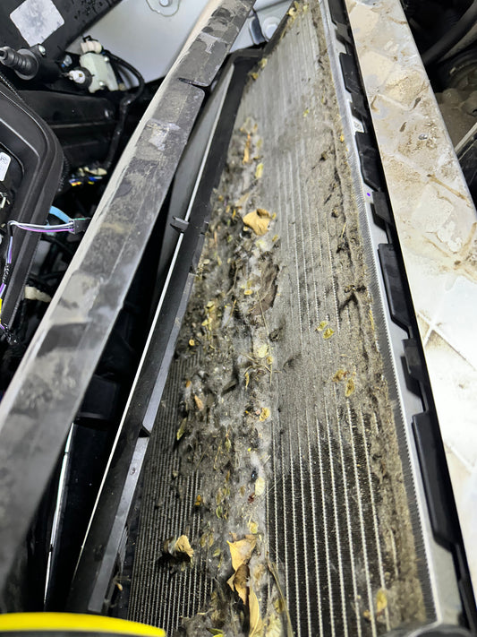 Radiator Cleaning on Site