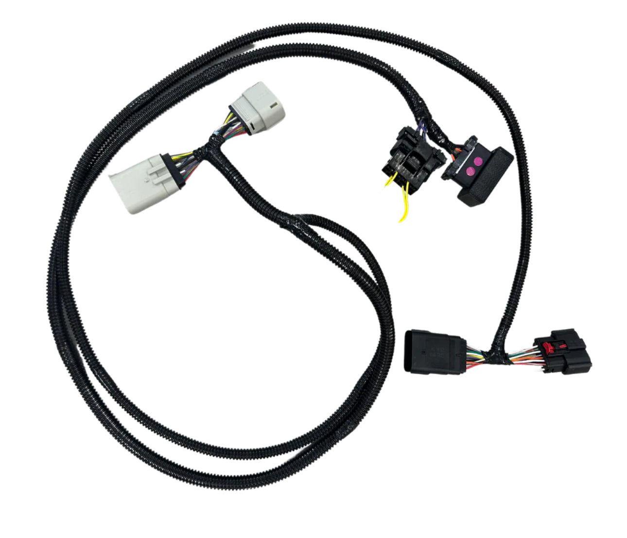 Boost LFP for Tesla Model 3